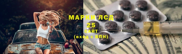 крисы Верхний Тагил
