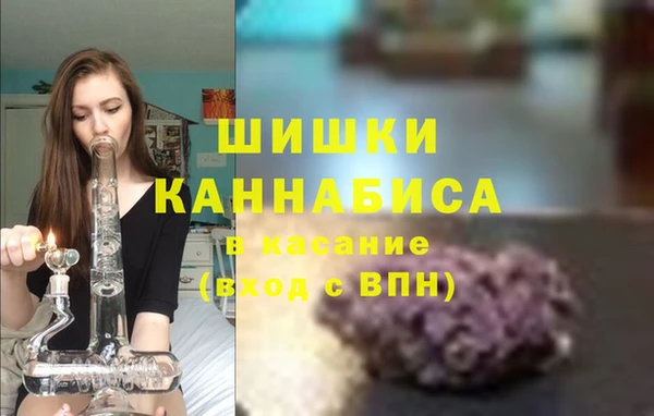 индика Бугульма