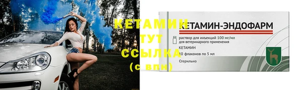 индика Бугульма