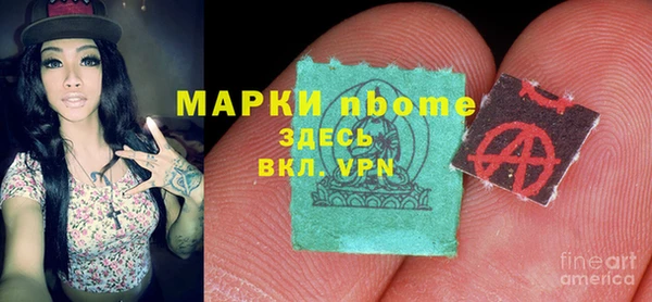 индика Бугульма