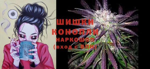 твердый Верея