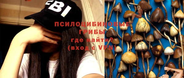 крисы Верхний Тагил