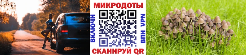 Купить Няндома Галлюциногенные грибы GOLDEN TEACHER